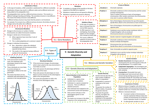 Mindmap